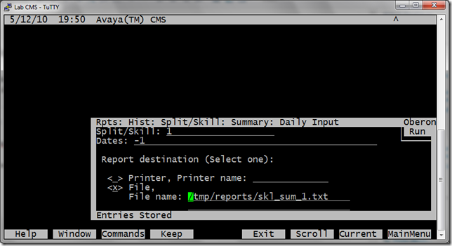 4. fill in report fields